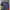Polo Ralph Lauren Luxury Casual Polo shirt Pria navy photo 4