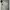 Polo Ralph Lauren Luxury Minimalist Polo shirt Pria white black photo 3