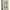 Novel Ori —When we where young by Auryn Vientania photo 1