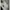 Polo Ralph Lauren Luxury Casual Polo shirt Pria white black photo 3