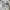 00s Heavyweight Boxy Sweatshirt High Right Now ☘️ photo 6
