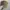 y2k Distresed Studed Cadethat Brown  photo 4