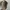 y2k Distresed Studed Cadethat Brown  photo 6