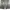 2000s Kensho Abe Shiny Black Convertible Cargo Pants (32) photo 7