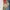 Hishyouhakurei Blue Sukajan Koi Lily Relaxed Jeans (36) photo 4