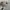 y2k Studed Cadethat Star photo 2