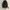 Oakley Gorpcore Bag Pria black photo 2