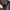 Oakley Gorpcore Bag Pria black photo 6