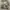 Vintage 90's portland nursery 5050 SE STARK photo 3