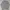 Covernat Avant Garde Sweater Pria Gray