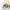Kaos Band Merch Pull & Bear Taylor Swift NETT PRICE photo 2