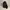 Porter Yoshida Indie Casual Bag Pria black photo 3