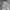 Burberry London Polo Shirt - Light Grey