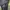 LP Dickies Double knee Cellpocket Black photo 2