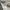 Dickies Casual Casual pants Pria gray photo 2