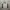 adidas professional big logo jersey photo 4