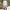 Outdoorpants National geographic Grey Style photo 1