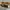 John Varvatos X Converse All Star Eyelet Low Brown Original