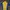 Adidas Sportswear Jersey Pria blue yellow photo 2