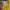 Adidas Sportswear Jersey Pria blue yellow photo 3