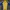 Adidas Sportswear Jersey Pria blue yellow photo 1