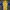 Adidas Sportswear Jersey Pria Blue Yellow