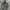 Jaket Parka Army German Army Field Jacket Flecktarn photo 2
