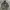 Jaket Parka Army German Army Field Jacket Flecktarn
