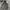 Jaket Parka Army German Army Field Jacket Flecktarn