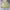 Paracute Jacket  photo 4