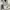 Cardigan knit stipred by NII photo 8