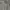 Tracktop Avirex  photo 4
