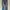 True Religion Jeans usa Denim photo 2