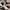 Nike Air Jordan 1 GS photo 3