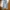 LMC Levi’s Made & Crafted 501 Straight Leg Selvedge denim photo 2