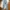 LMC Levi’s Made & Crafted 501 Straight Leg Selvedge Denim