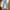 LMC Levi’s Made & Crafted 501 Straight Leg Selvedge denim photo 8