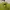 Polo Ralph Lauren Casual Polo shirt Pria green photo 3