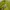 Polo Ralph Lauren Casual Polo shirt Pria green photo 4