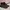 Salomon Snowcross Black Orange photo 1