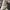 LOUIS VUITTON TRAINER WHITE LEATHER SNEAKERS , LOUIS VUITTON photo 7