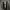 Winbreaker Adidas bolak balik photo 1