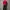WORK JACKET BY UNKNOWN  photo 2