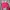 CROP RED SWEATER