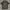 Tshirt Carhartt pocket photo 1