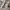 Clarks Men Tamho Edge Sneakers photo 1