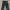 DICKIES 874 LONG PANTS photo 1