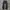 Unknowtal Black Ripped Jeans