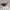 Guess Sunglasses Black Denim photo 3