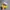 TOPI CENTURY EQUIPMENT COMPANY TRUCKER ROPE HATS BY HANES photo 6